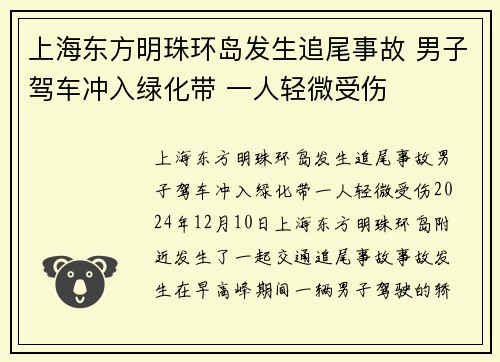 上海东方明珠环岛发生追尾事故 男子驾车冲入绿化带 一人轻微受伤