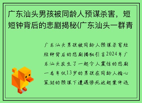 广东汕头男孩被同龄人预谋杀害，短短钟背后的悲剧揭秘(广东汕头一群青少年深夜持刀斗殴)