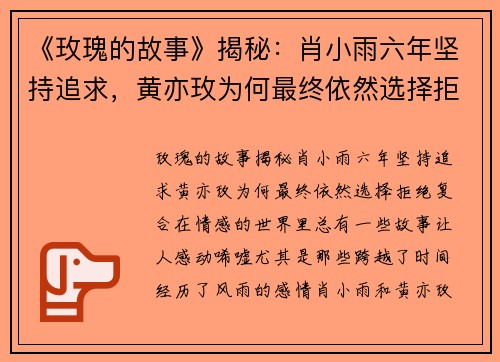 《玫瑰的故事》揭秘：肖小雨六年坚持追求，黄亦玫为何最终依然选择拒绝复合？